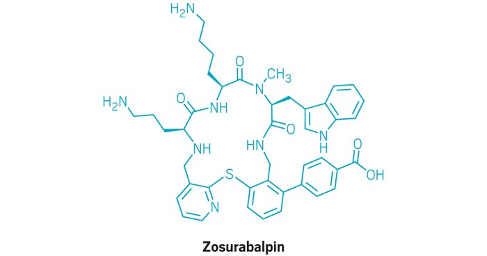 ByteTrax: Antibiótico Zosurabalpin