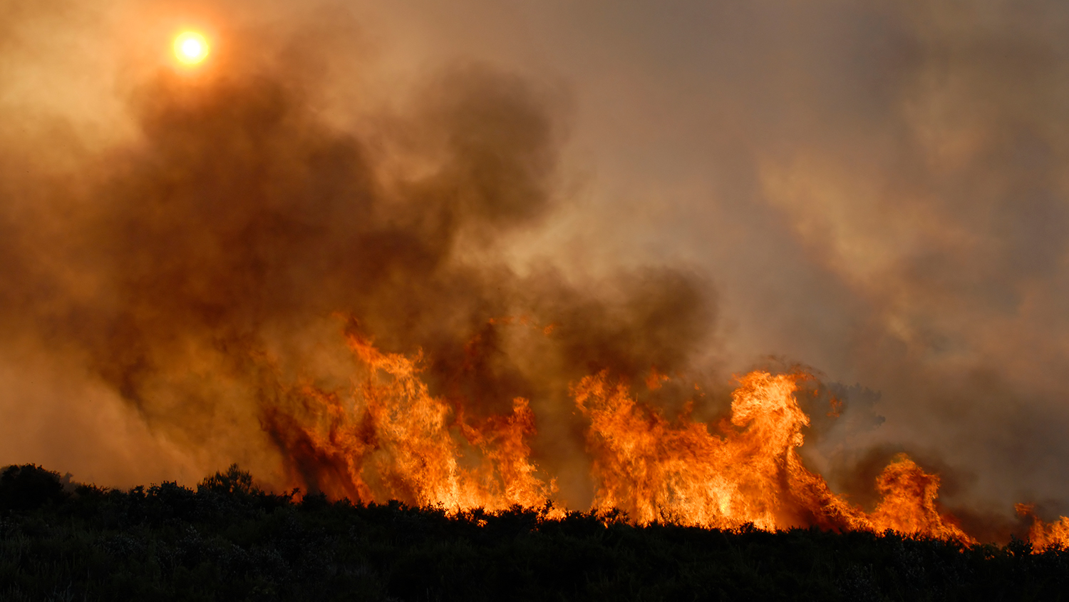 ByteTrax: Compuestos Tóxicos de Incendios Forestales
